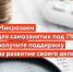 Микрозаймы по программе господдержки для самозанятых Самарской области: получите до 500 тысяч рублей на поддержание и развитие своего дела. - Газета Сельский труженик