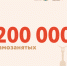 24a5aaf3-33fb-4a8e-8b4e-f7999608d0f3.jpeg - Безенчукский район