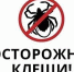 a3120a65b53eda0a7c4b97fa8817047f_o.jpg - Безенчукский район