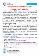 Встречайте Новый год без долгов_page-0001.jpg