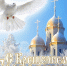 Ri4fH0z9KVTWjdO-eLBQvPL_W0iHtfvlis2jnxYhXL_TkrZqlsyiPF58_wOy1jV7oiy6VA0Hc5fu-yhHIO3DPwNK (1).jpg - Безенчукский район