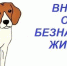 yCunRq4OX6ontx7-25BjOtoJrVdV9SzKbKRx9vxUxlurUUX4qBUNiT2BLfJcJKz7fIh_Q28MigvPD3pB4c5TCeHB (1).jpg - Безенчукский район